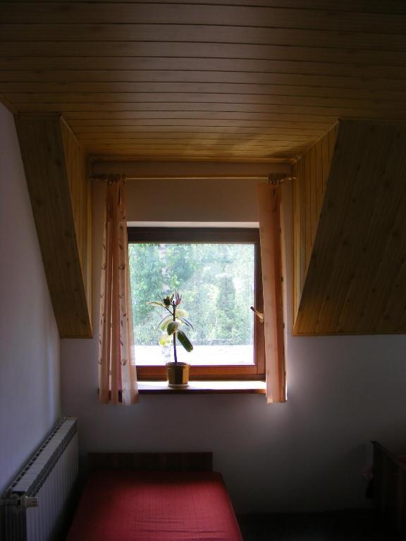 Sosnowy Dworek Apartamento Józefów Exterior foto